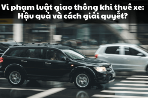 Hướng dẫn xử lý sự cố va chạm và vi phạm giao thông